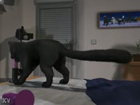 Black dog riding a dildo zoophilia masturbation video